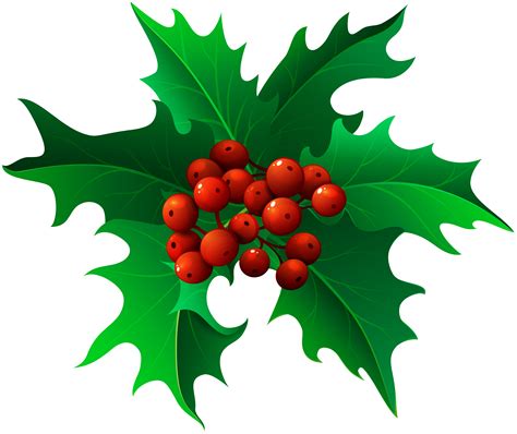 holly clipart